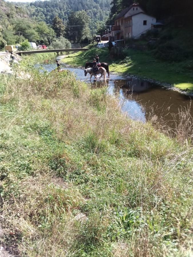 Rekreacni Kocaba Appartement *